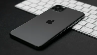 iPhone 11 touch screen not working
