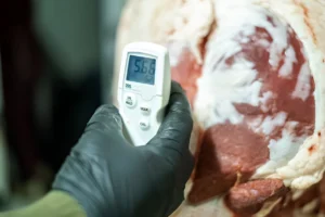 Thermometer Calibration for Meat